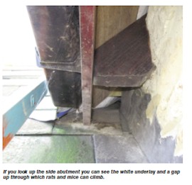 If you look up the side abutment you can see the white underlay and a gap up through which rats and mice can climb.