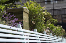 Going Green at the Museum of London