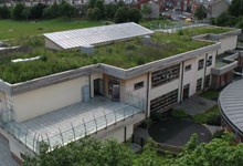 School Roof Declared a Nature Reserve