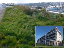 Blackdown Living Roofs chosen for Maritime Student Apartments