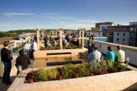 Blackdown Green Roof Chosen for Award-Winning Barratt Homes