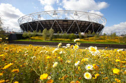 Picture courtesy of London 2012