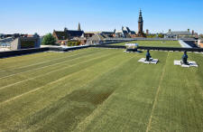 Icopal Launches a New Generation in Green Roofs